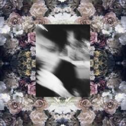 A Pregnant Light : All Saints' Day